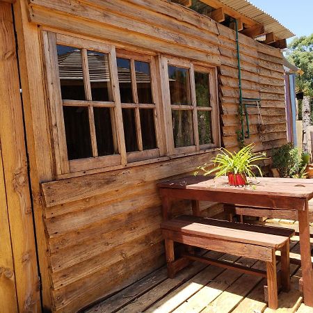 Los Charruas Pansiyon Punta Del Diablo Dış mekan fotoğraf